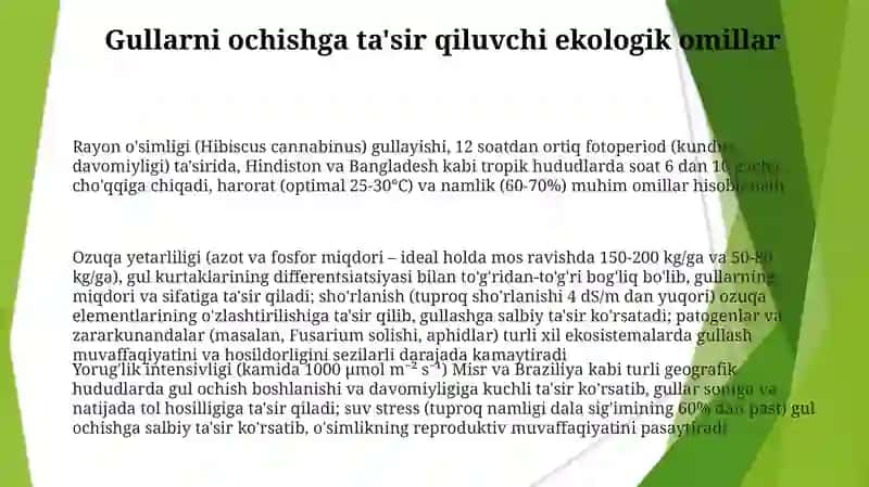Rayxonoʻsimligivauningsutkalikgullashdinamikasi 3