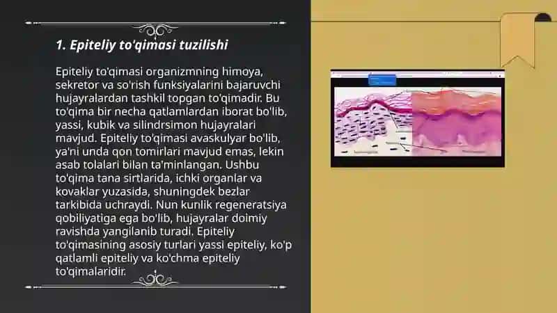 Epiteliy tòqimasi haqida 3
