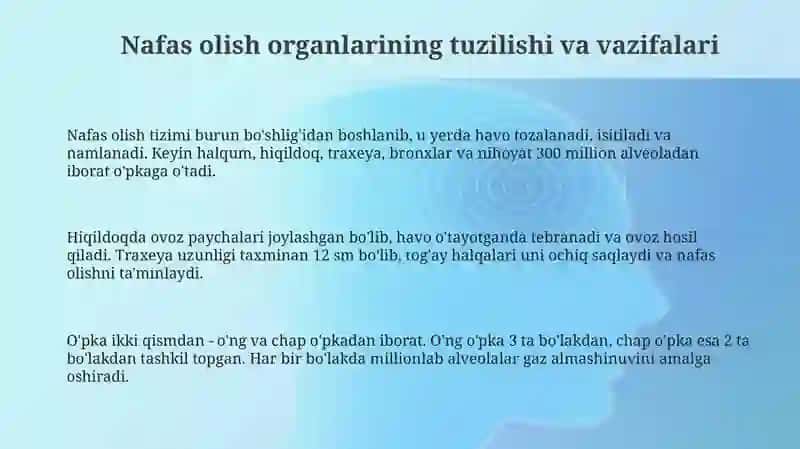 Nafas Olish Tizimi 3
