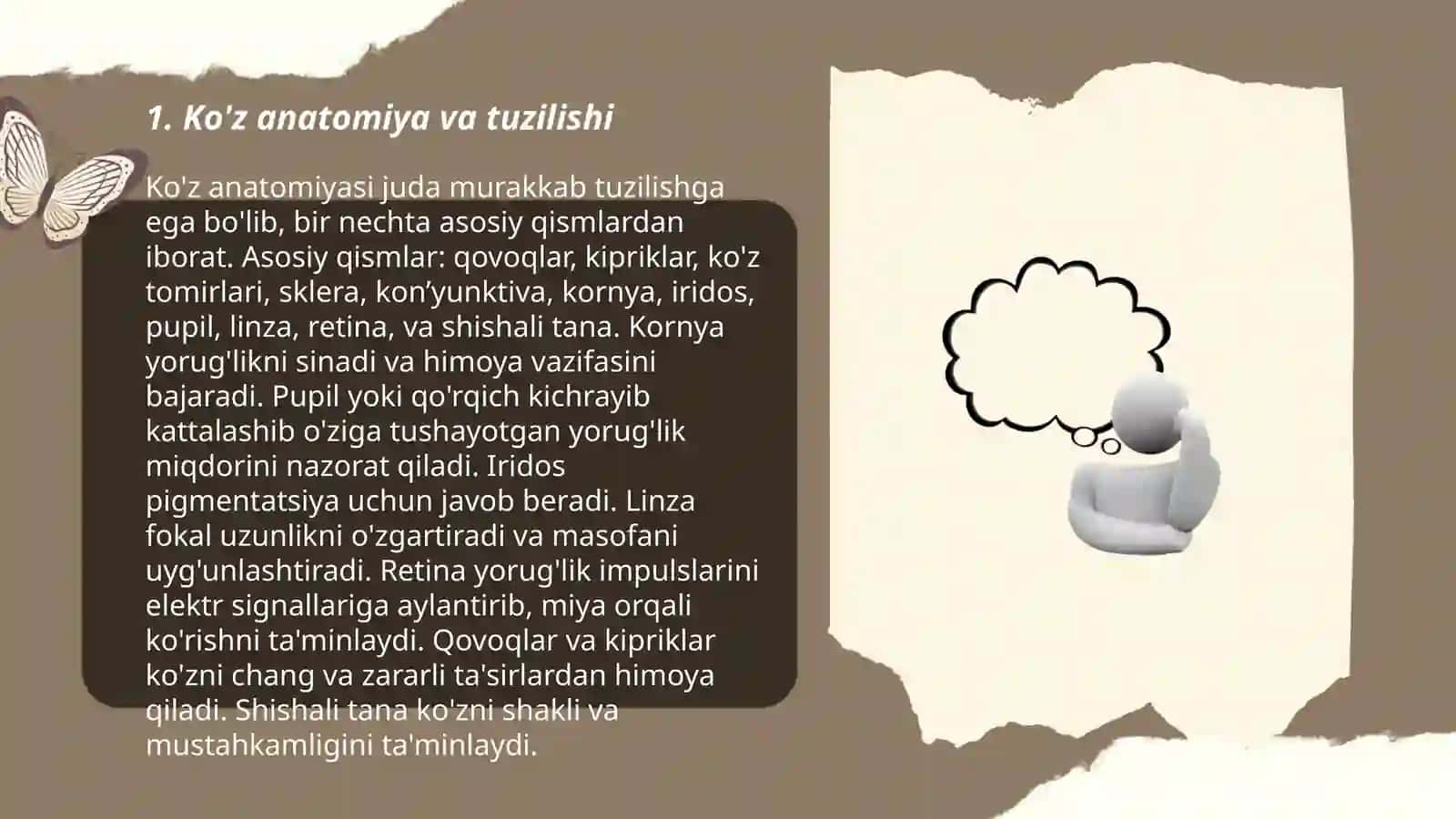 Hid bilish aʼzolari 3