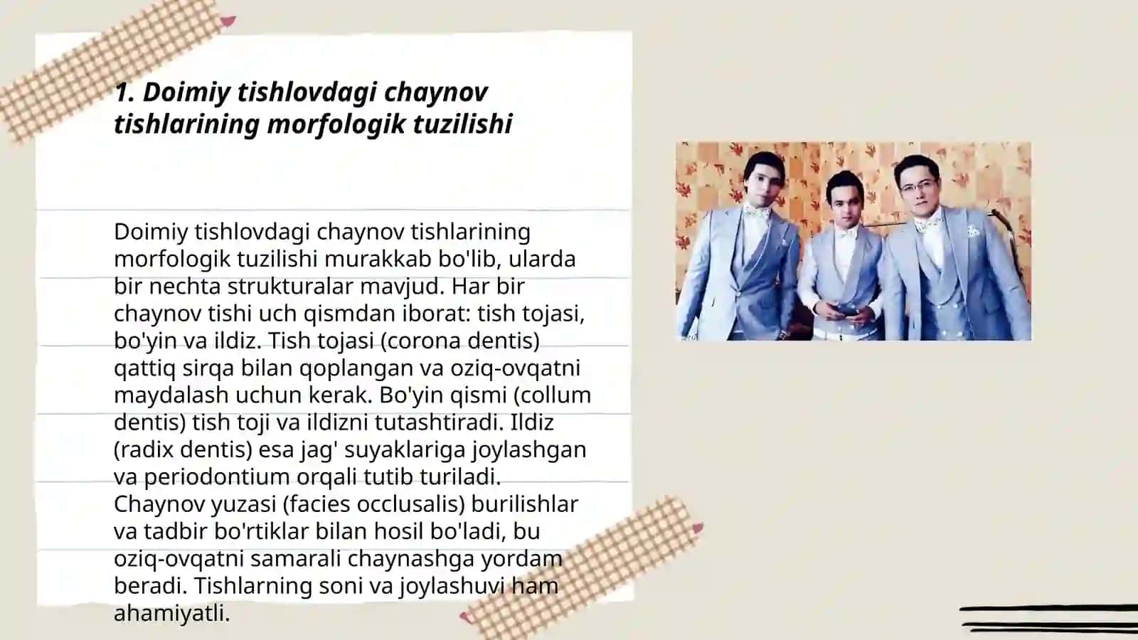 Doimiy tishlovdagi chaynov va frontal guruhi tishlarining tuzilishi 3