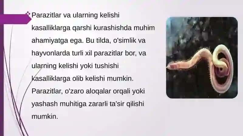 Parazitlar va ular keltirib chiqaradigan kasalliklarga qarshi kurash choralarini ishlab chiqish 3