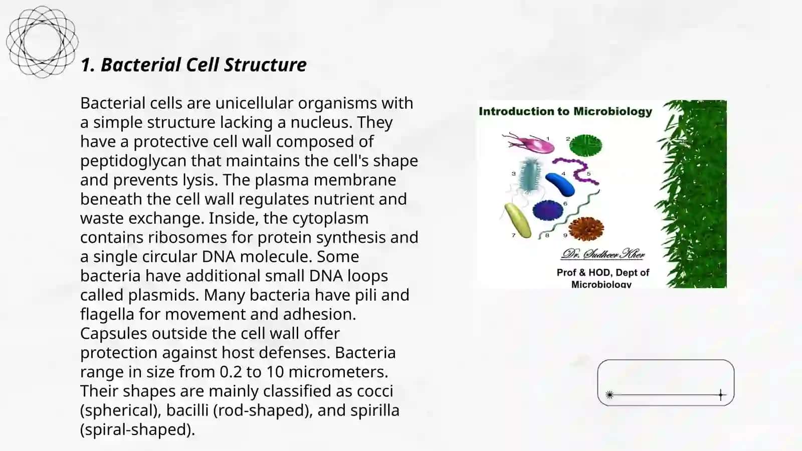 Microorganisms and Microbiology 3