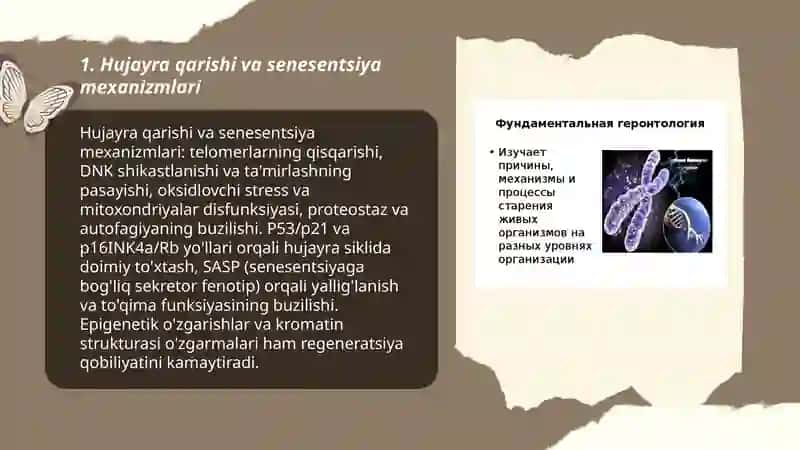 Hujayra qarishi va senesentsiya mexanizmlari 3