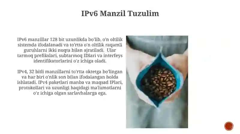 IPv4 va ipv6 pratakollari va ularning paket strukturalari 3