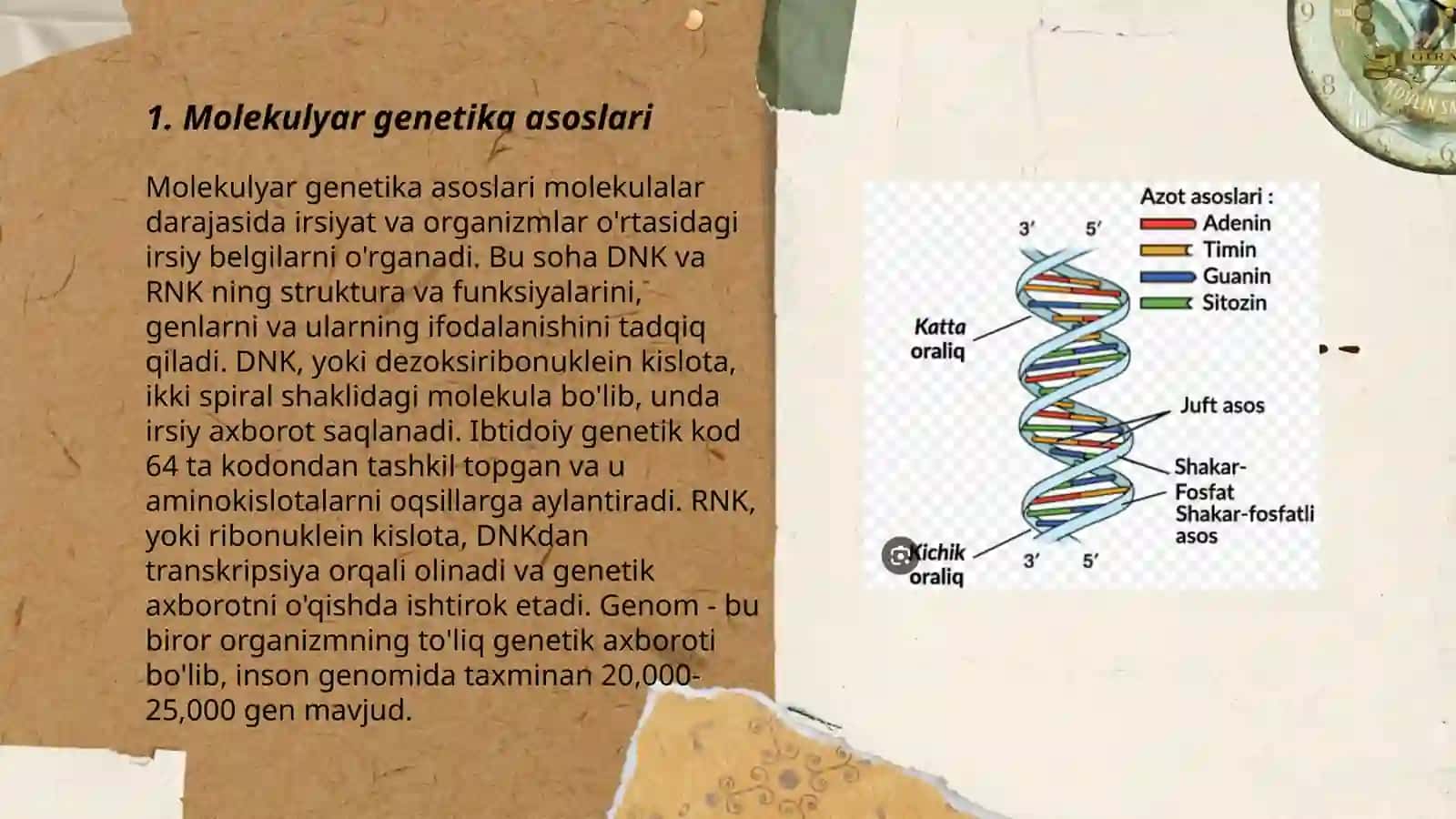Irsiyatning molekular asoslari 3