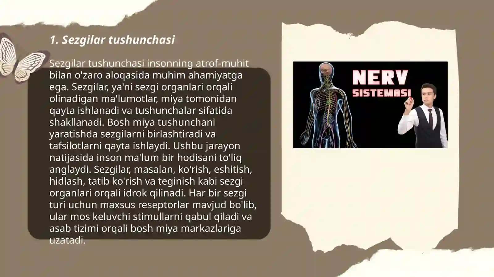 Sezgilar haqida umumiy tushuncha va uning nerv-fiziologik asoslari 3