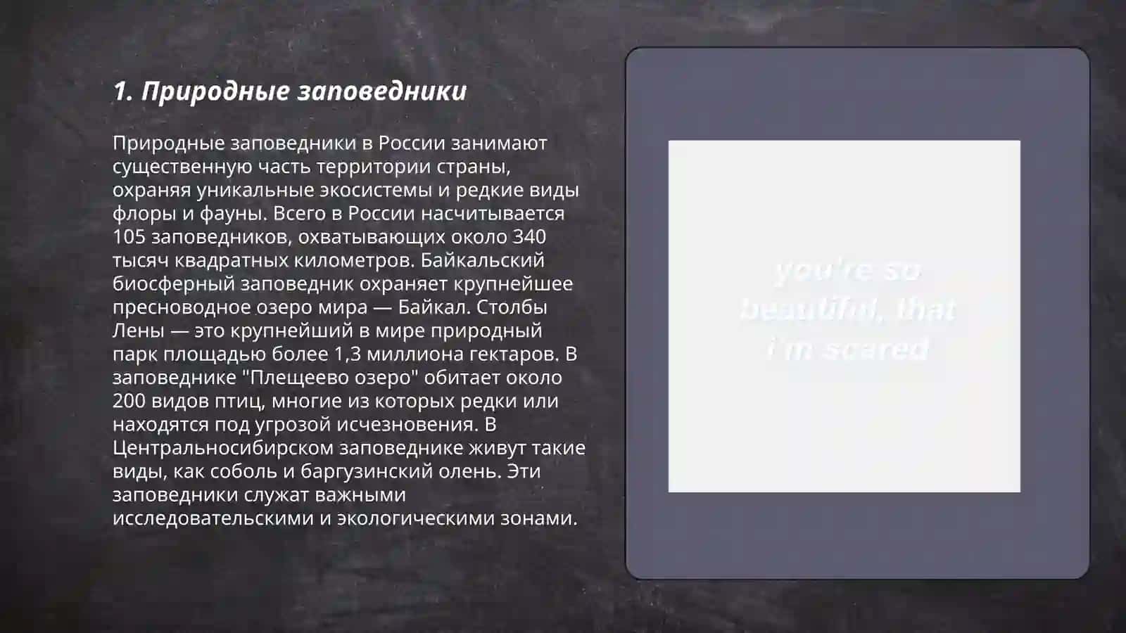 Мой любимый уголок природы 3