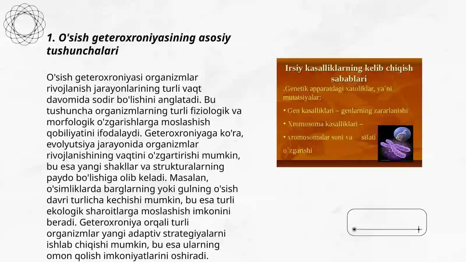 O'sish va rivojlanish geteroxroniyasini jadval va sxemalar tarzida o'rganib chiqish 3