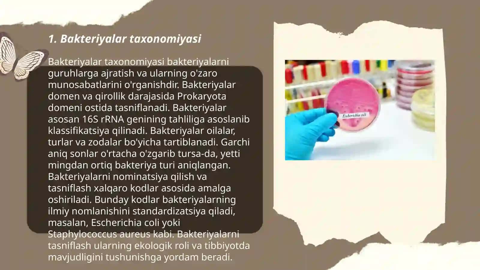 Bakteriyalar klassifikatsiyasi, toksonomiyasi va nomenklaturasi."Berji" aniqlagichi 3