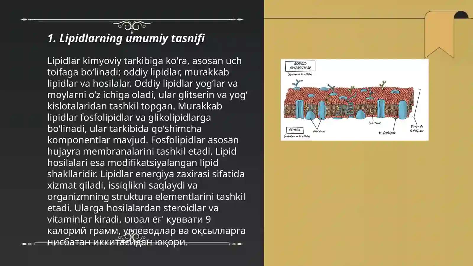 Lipidlarning tuzilishi, funksiyasi va metobalizmi 3