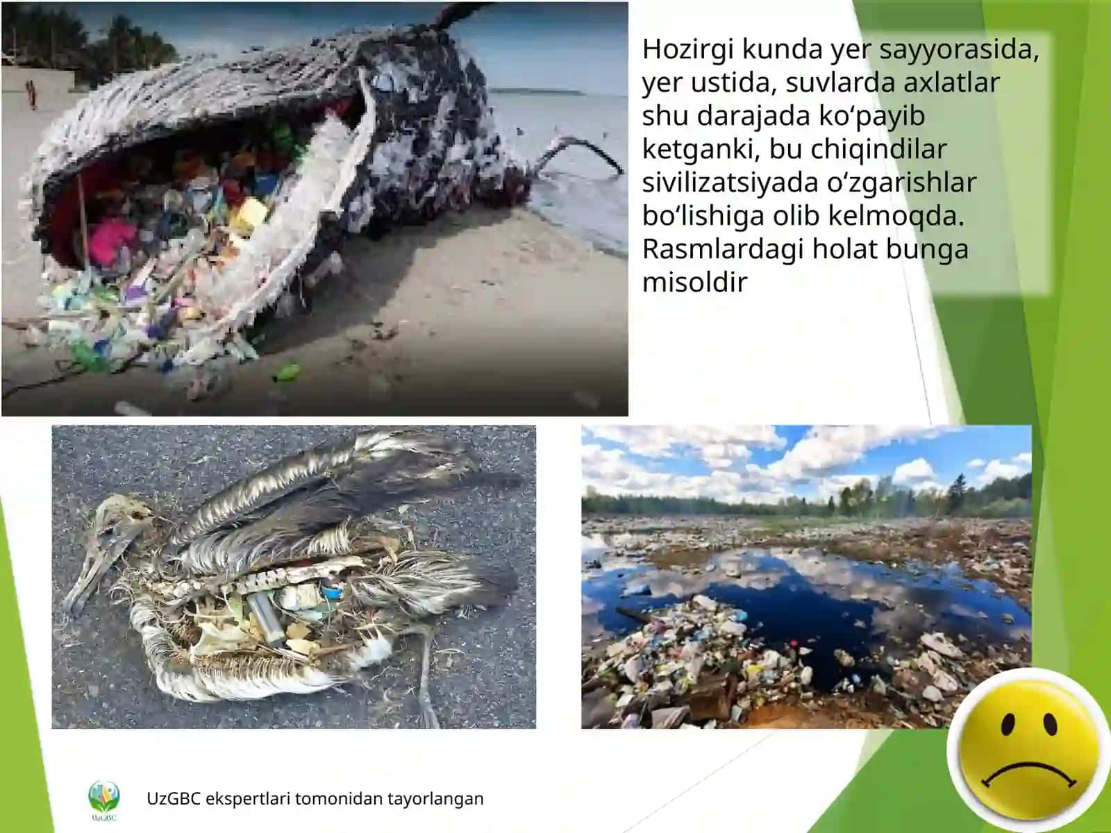Toshkent shahar «Maxsustrans» davlat unitar korxonasi ko‘magida tayorlangan YASHIL O‘ZBEKISTON UzGBCekspertlari tomonidan 3