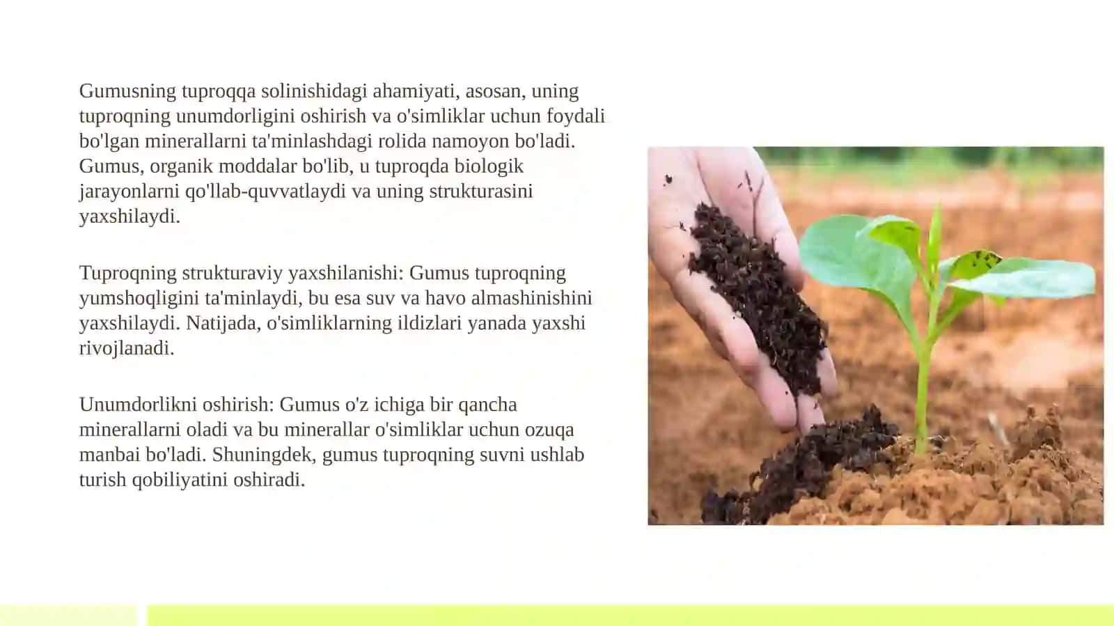 Tuproqunumdorligi 3