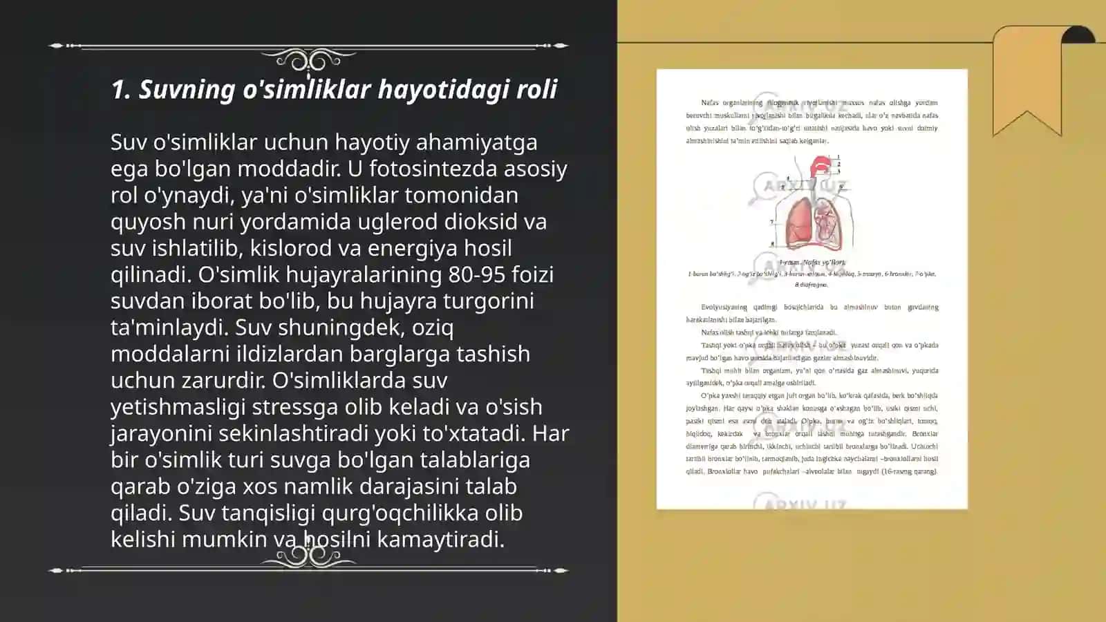 O‘simliklarda suv almashinuvi fiziologiyasi 3