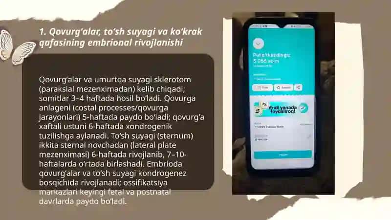 Qovurgʻalar toʻsh suyagi va koʻkrak qafasi ularning yoshga doing xususiyatlari 3