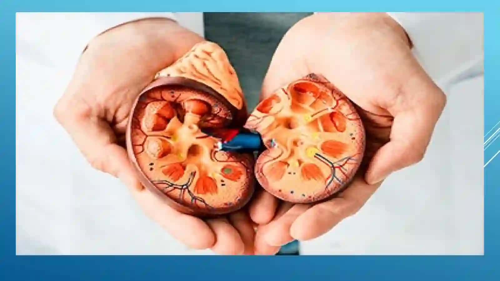 Patologik anatomiya 3