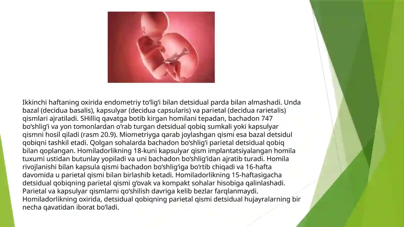 Fundamental Tibbiyotyo'nalishi 204-B 3