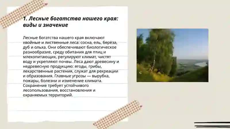 Лесные богатства нашего края: виды и значение 3