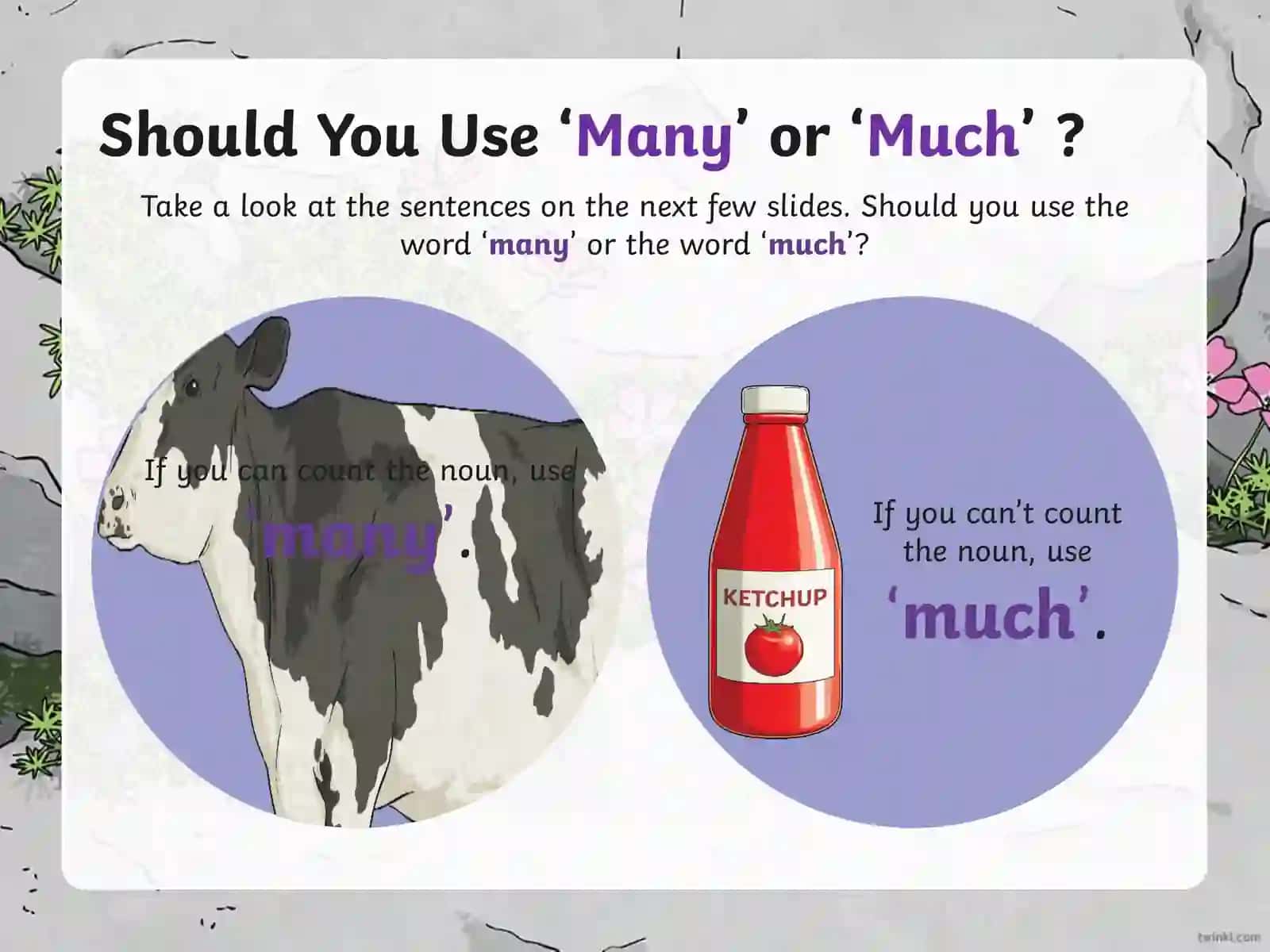 Using 'Many' and 'Much' in English Grammar 3