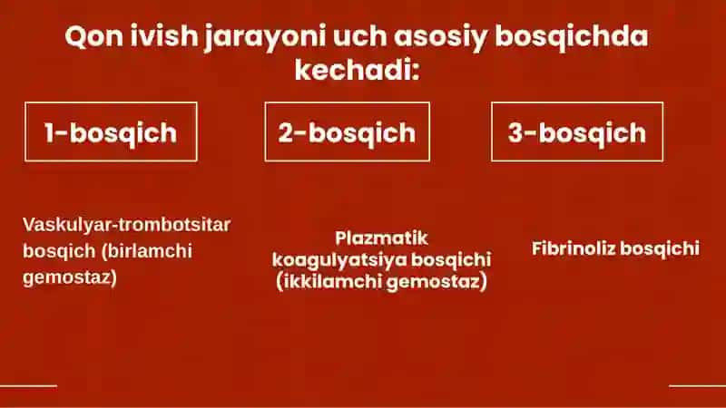 Qon quyishda normal koagulyatsiya 3