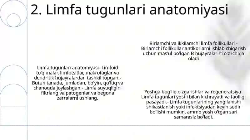 Limfa Tugunlari Birlamchi Va Ikkilamchi Limfa Tugunchalari (Follikullar) Tuzilishi Va Hujayraviy Tarkibi. 3