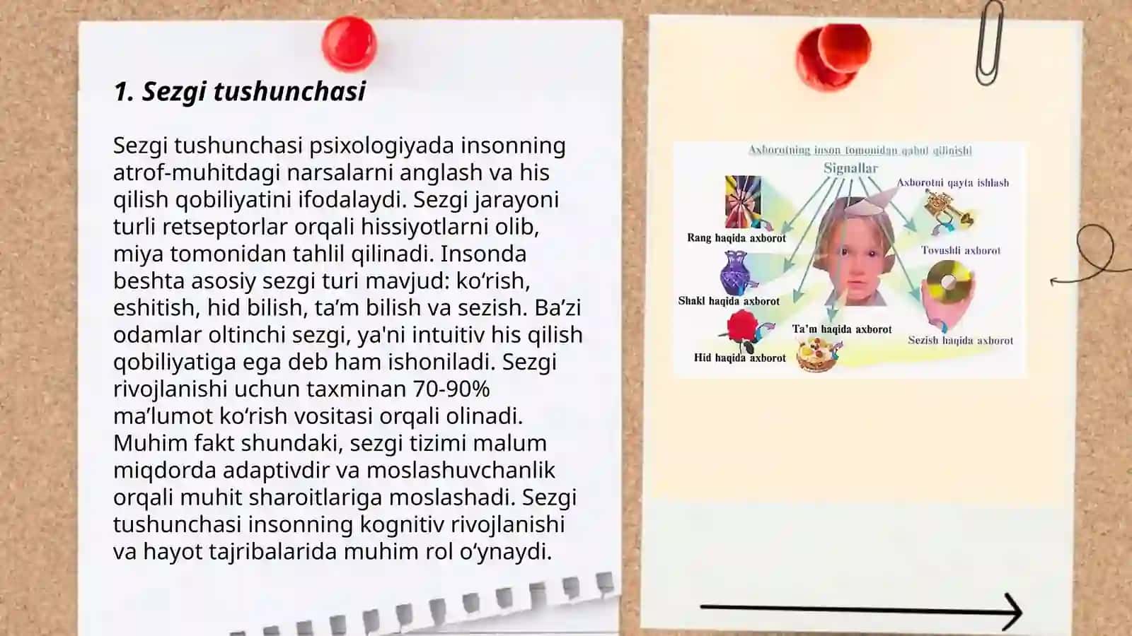 Umumiy psixologiya fanidan tayyorlagan taqdimoti 3