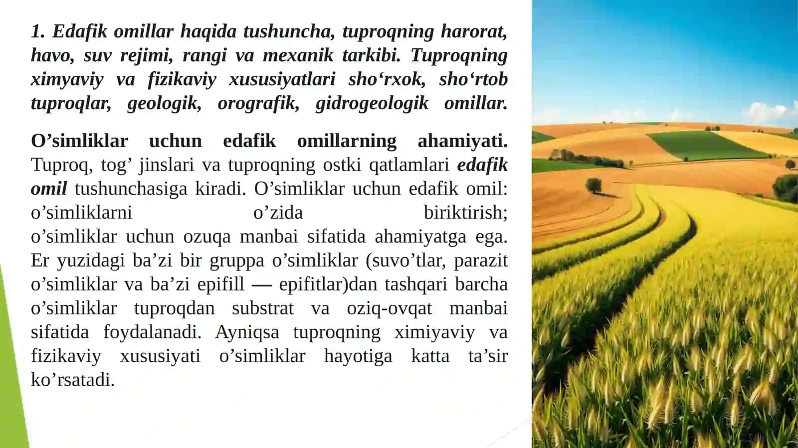 O‘simliklarning Hayotiy Shakllari 3