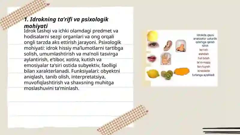 Idrok haqida tushuncha 3