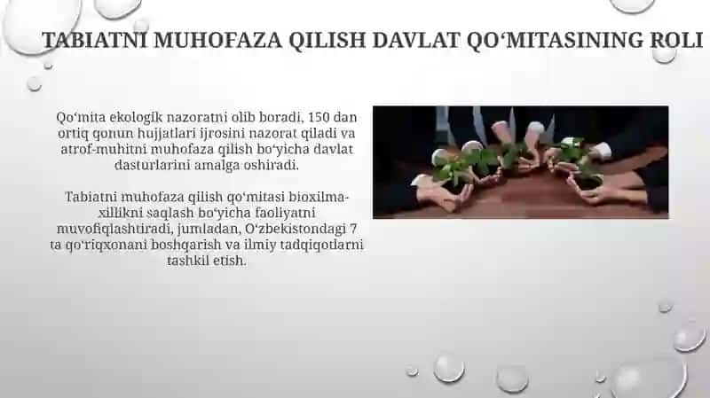 Tabiatni muhofaza qilish davlat qoʻmitasining roli 3