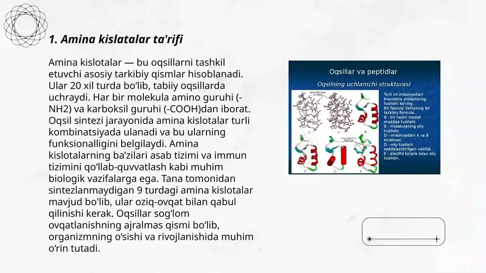 Amina kislata va oqsillarni olinishi va xosslari 3