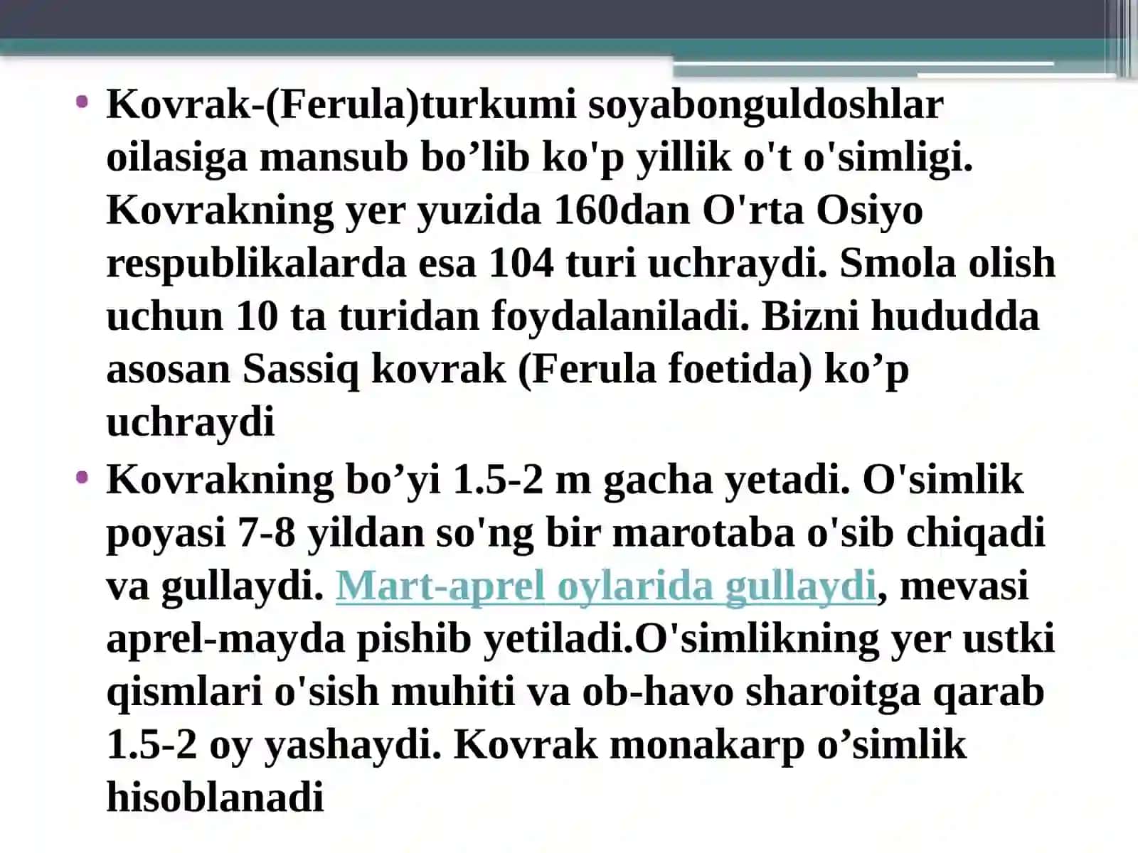 Sassiqkovrak (Ферулавонючная) – Ferula foetida (bunje) regel 3