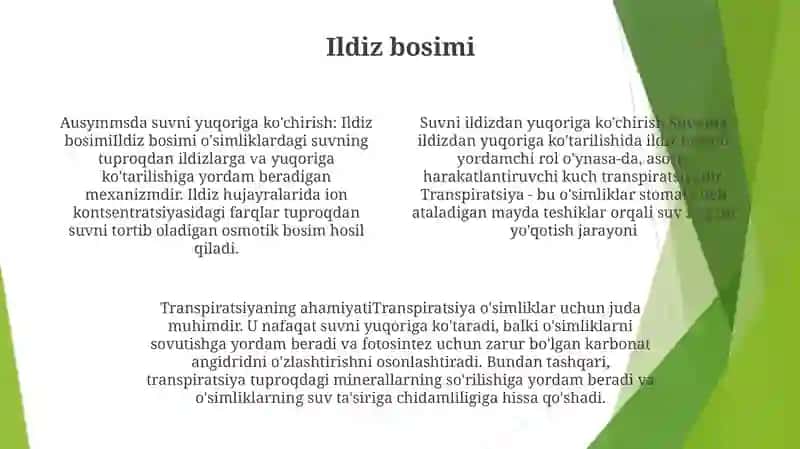Ösimliklarda Suvni Yuqoriga Kötaruvchi Mexanizmlar 3