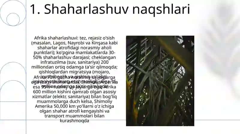 Afrika va Amerika qit'asining o'xshashliklari,farqlari 3