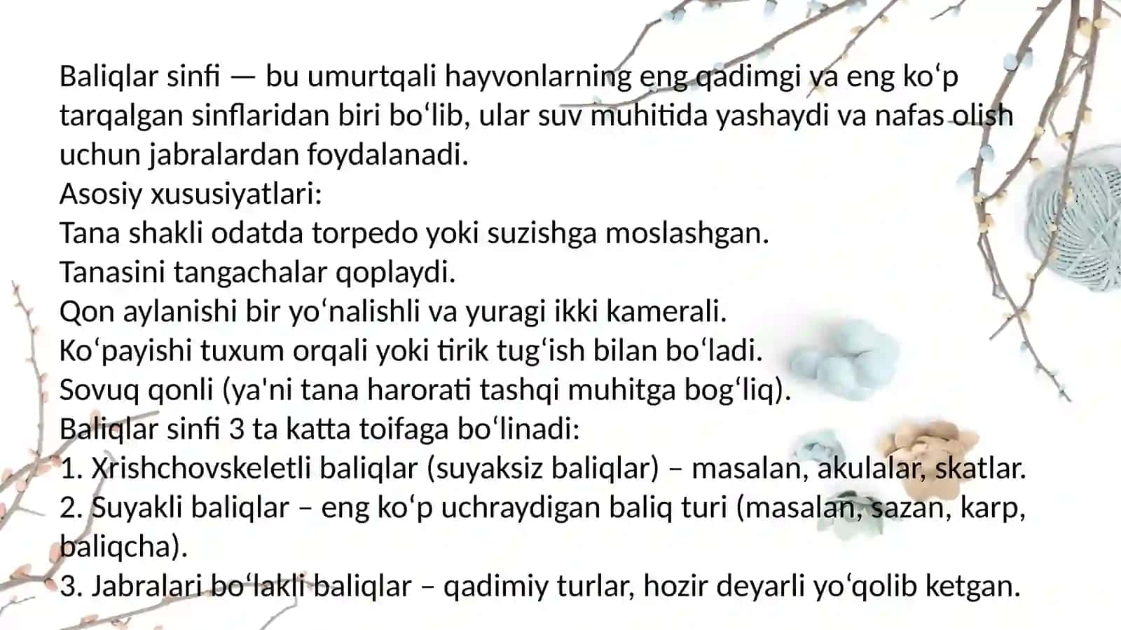 Baliqlar sinfi 3