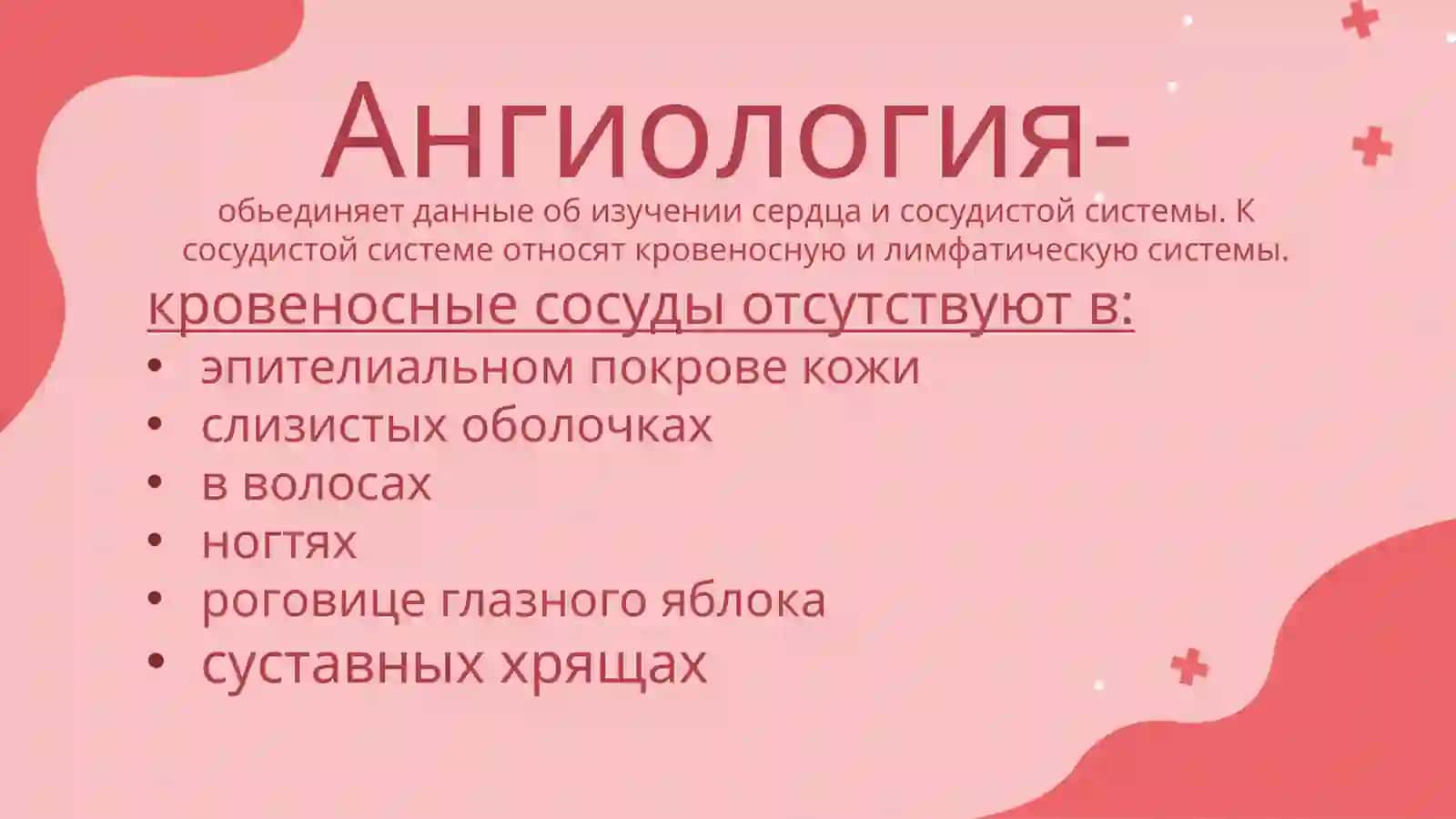 Ангиология 3