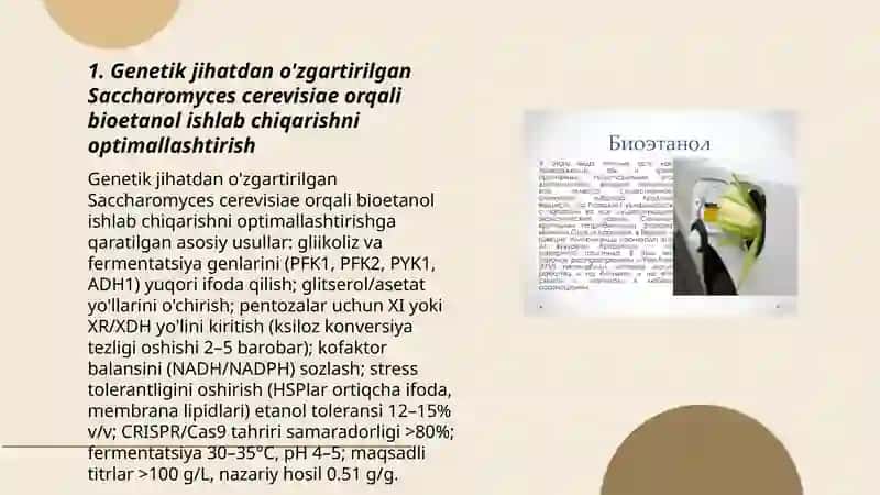 Genetik modifikatsiyalangan mikroblar yordamida bioyoqilg‘i sintezi 3