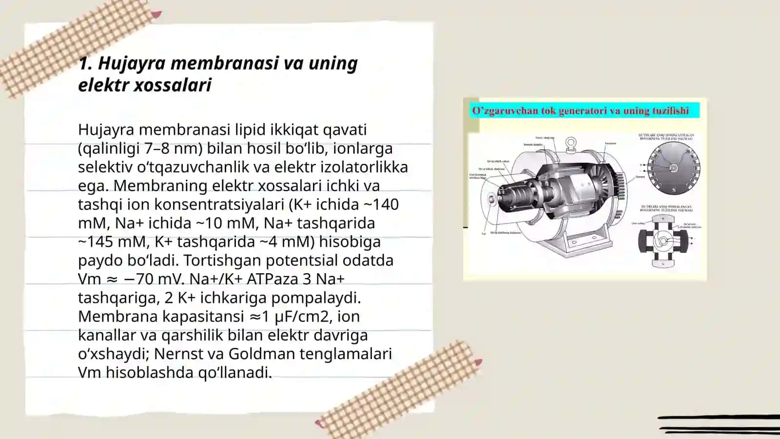 Qoʻzgʻaluvchan toʻqimalarda bioelektrik hodisalar 3