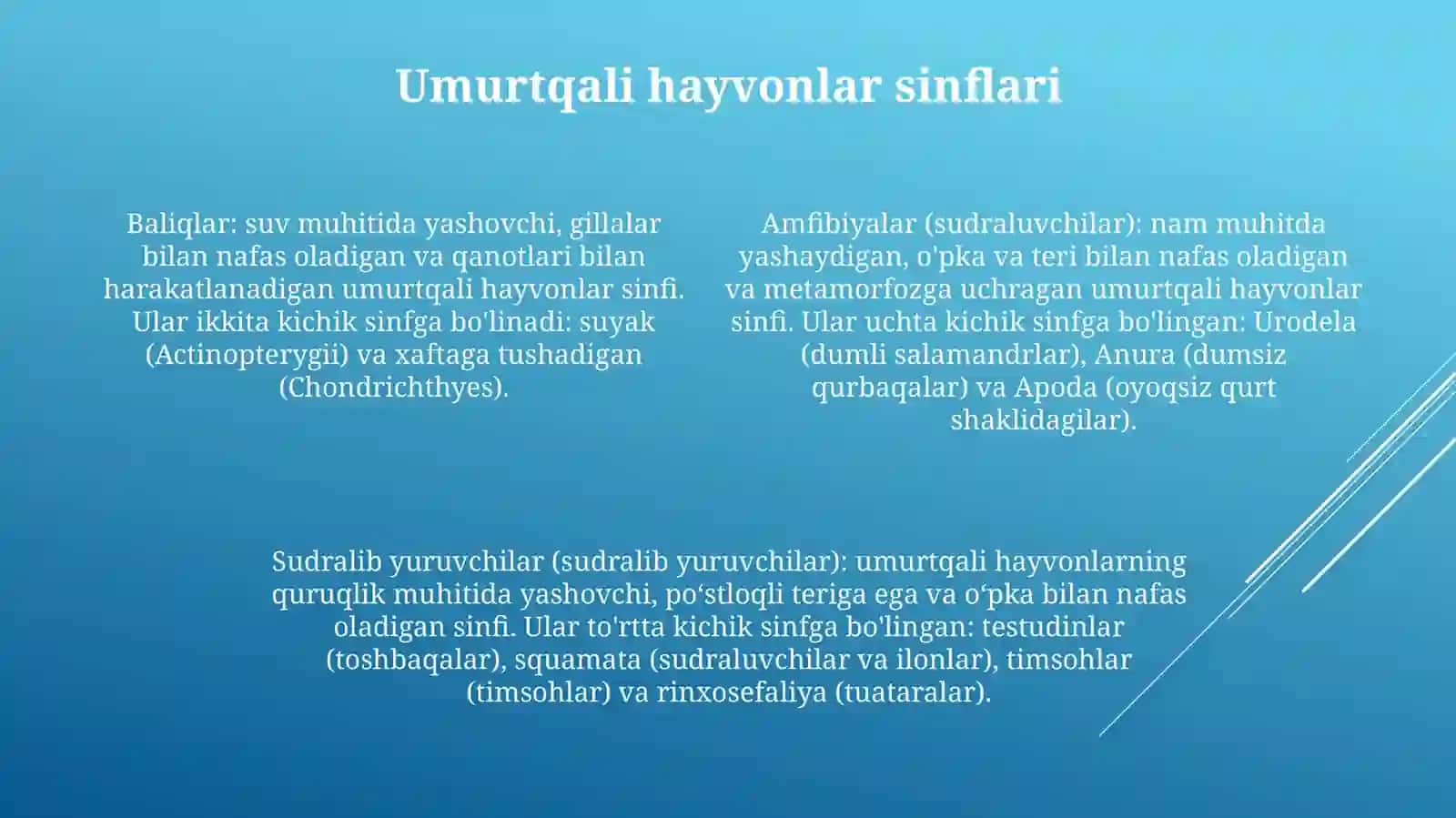 Umurtqalilar Kenja Tipining Umumiy TavsifiVaTasnifi 3