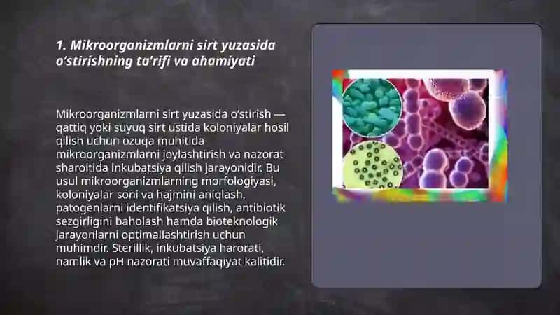 Mikroorganizmlarni sirt yuzasida oʻstirish jarayoni 3
