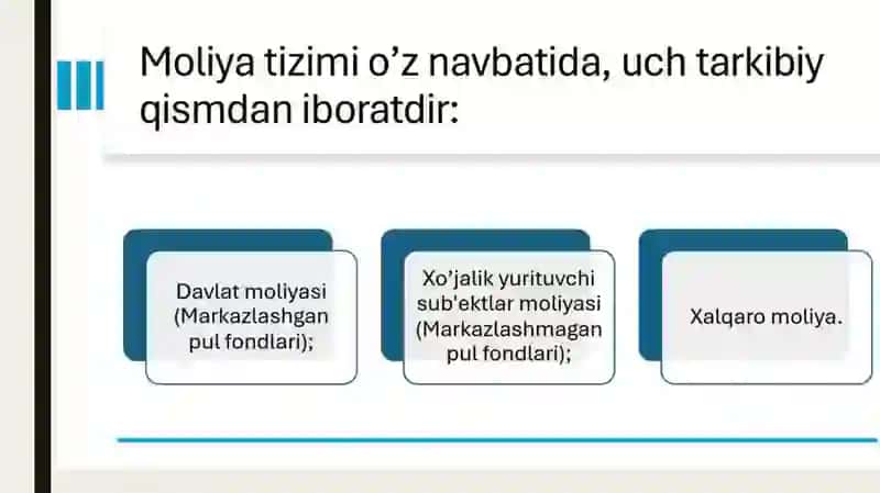 Moliyaviy boshqaruv organlari, ularning asosiy vazifalari, huquq va vakolari 3