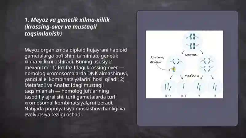 Meyozning biologik ahamiyati 3