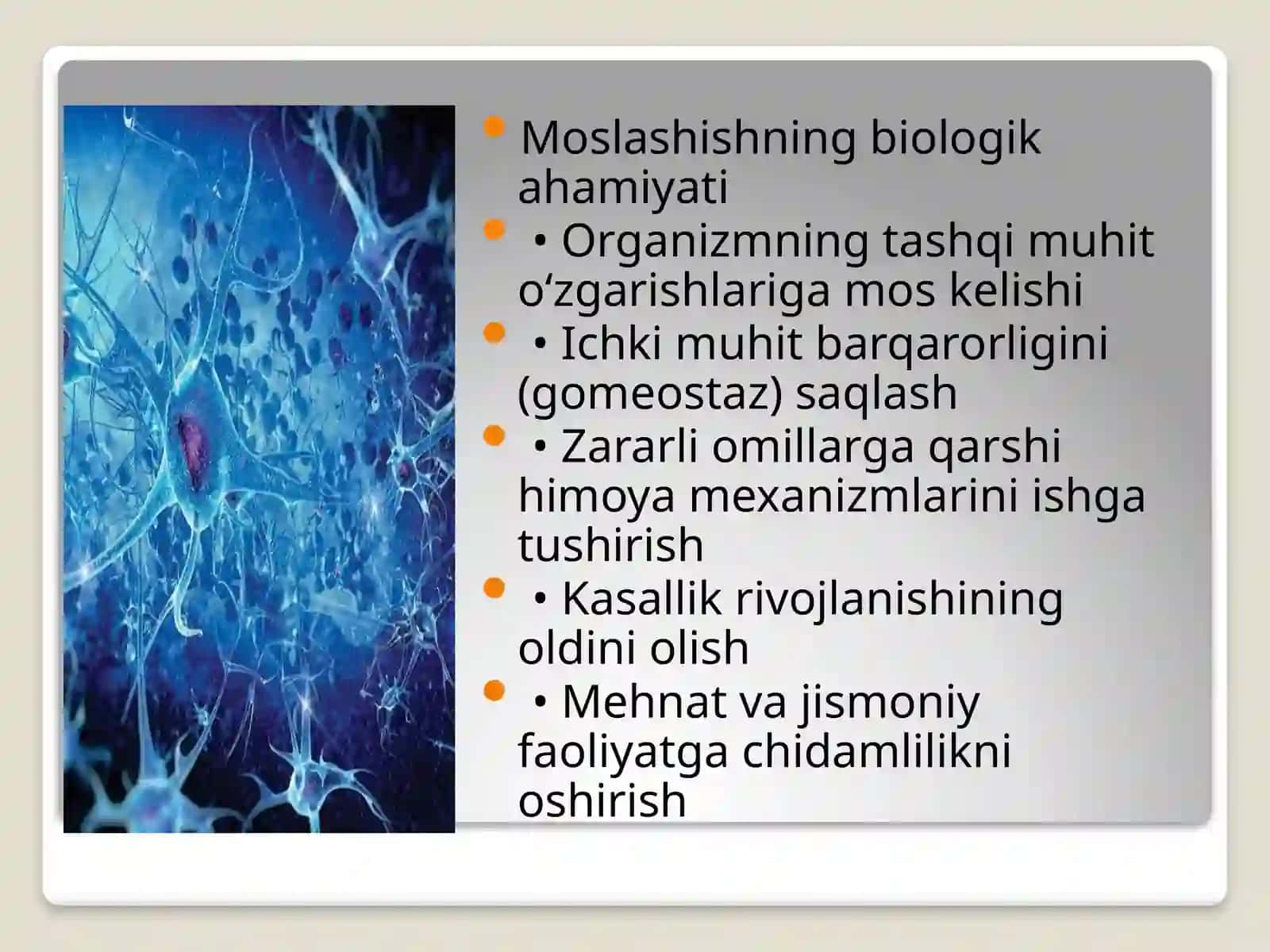 Organizmning moslashishi va uning bosqichlari 3