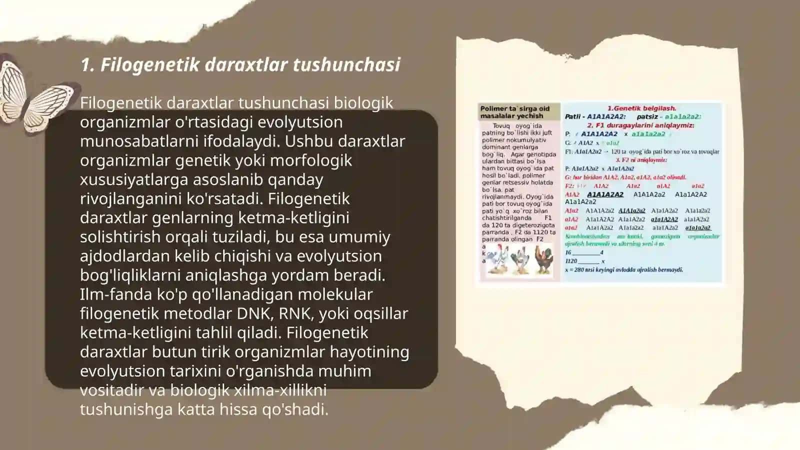 Filogenetik daraxtlar tushunchasi 3
