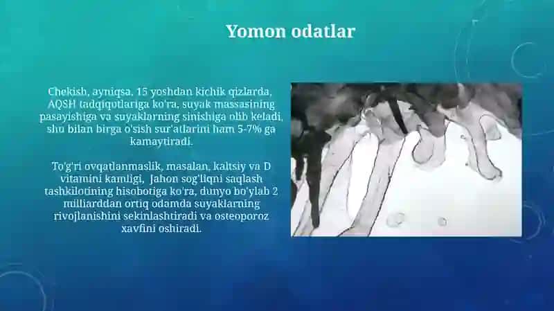 Suyaklarning o'sishi rivojlanishiga ta'sir qiluvchi omillar 3