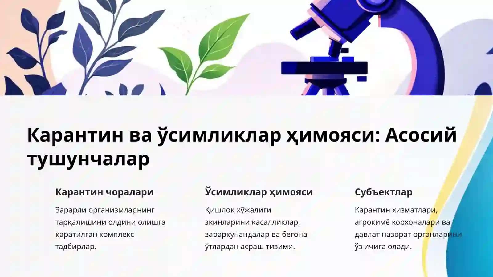 Ўсимликлар ҳимояси ва карантин хизматларини кўрсатувчи субъектларда бухгалтерия ҳисоби 3