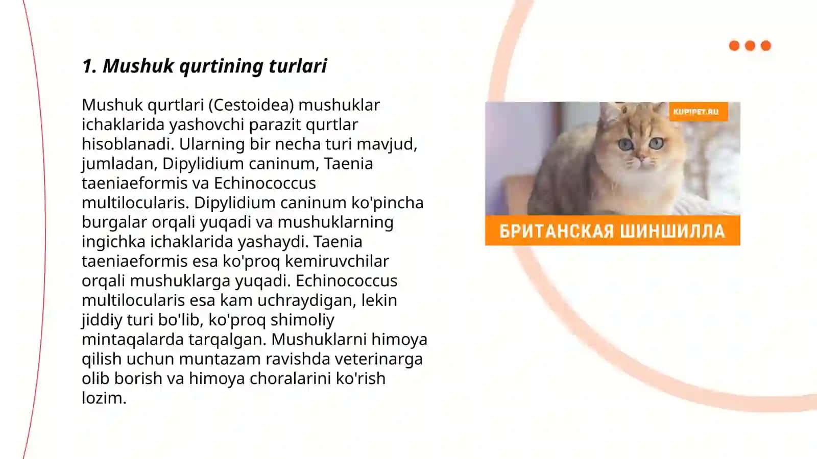 Mushuk qurti 3