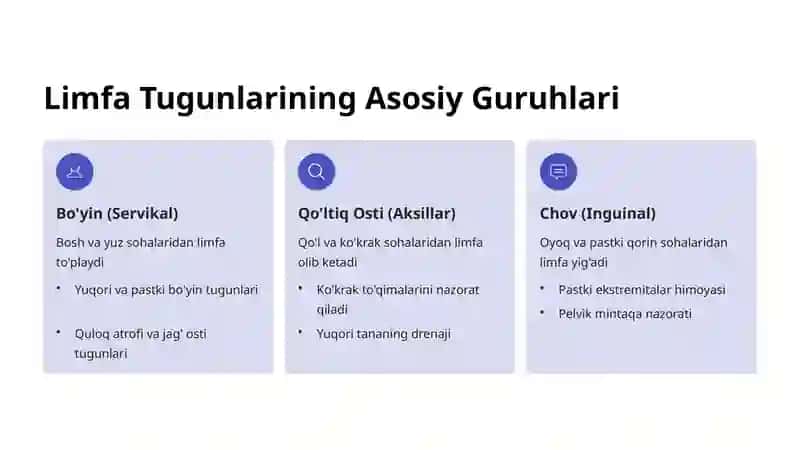 Limfa Tugunlari Guruhlari: Tuzilishi va Ahamiyati 3