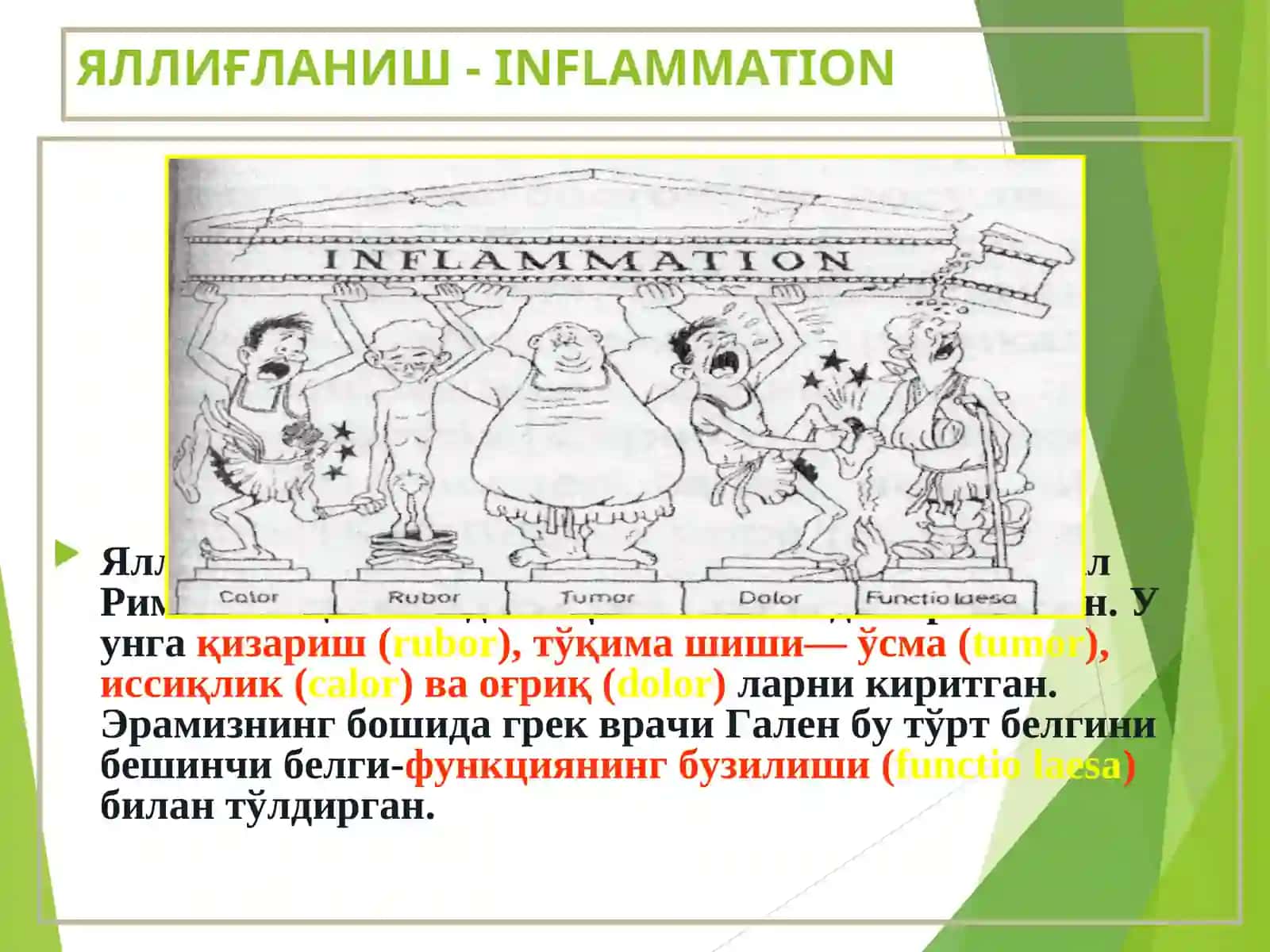 Яллиғланиш 3