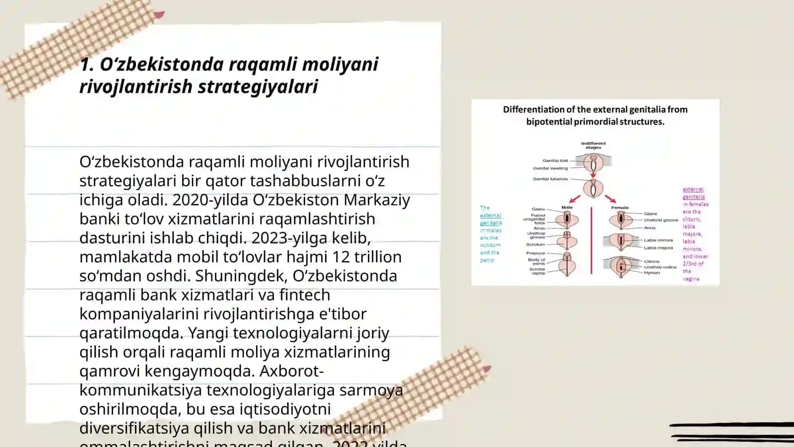 Oʻzbekistonda raqamli moliyani rivojlantirish va kripta-birjalar faoliyatining tashkil etilishi 3