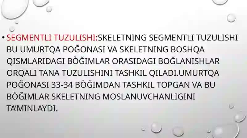 Skeletni segmentli tuzulishi uning tuzulish prinsiplari.Umurtqa pogʻoasini yosh va jinsga nisbatan 3